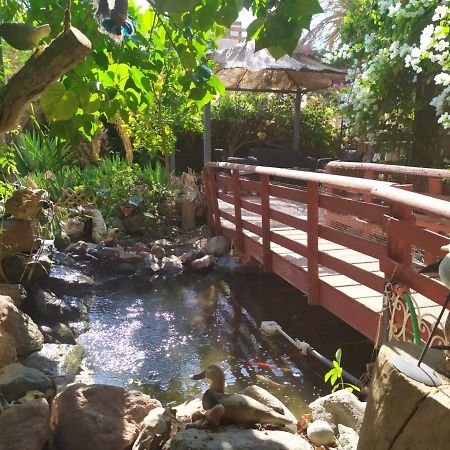 Apartamento Lotus Turtle Garden Eilat Exterior foto