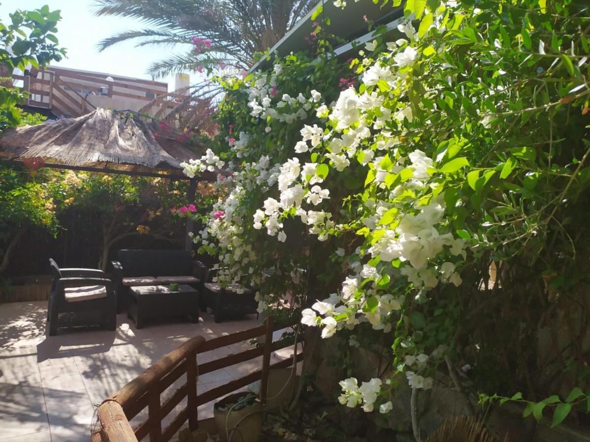 Apartamento Lotus Turtle Garden Eilat Exterior foto