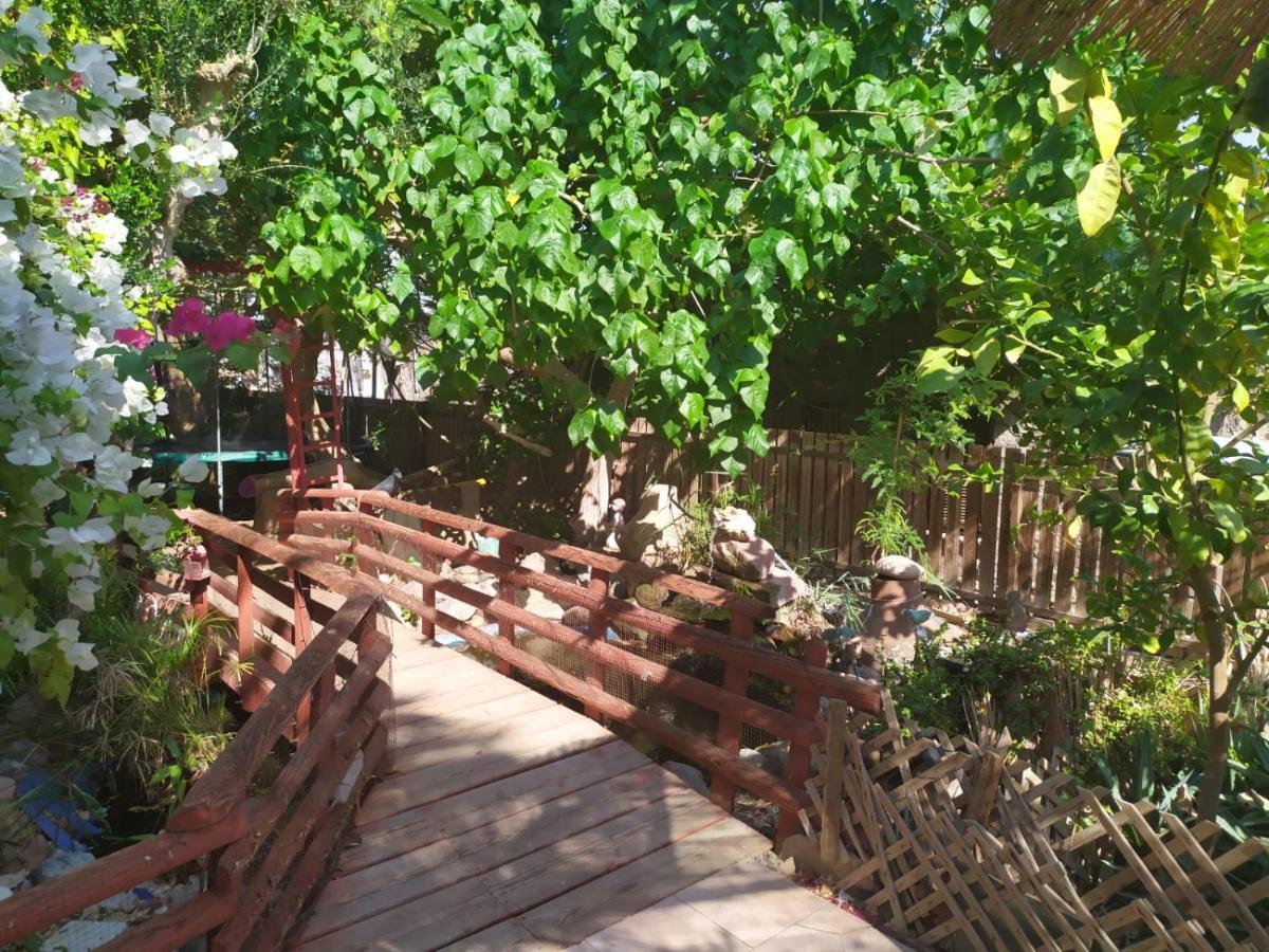 Apartamento Lotus Turtle Garden Eilat Exterior foto