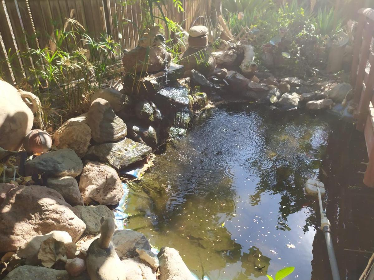 Apartamento Lotus Turtle Garden Eilat Exterior foto